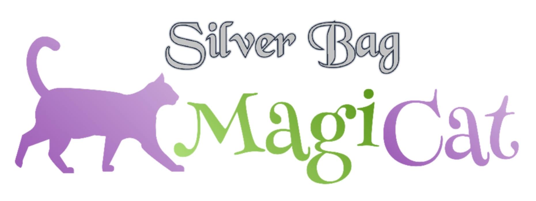 Magicat Silver Bag